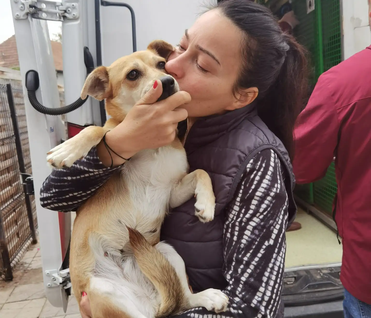 adoptii internationale asipa