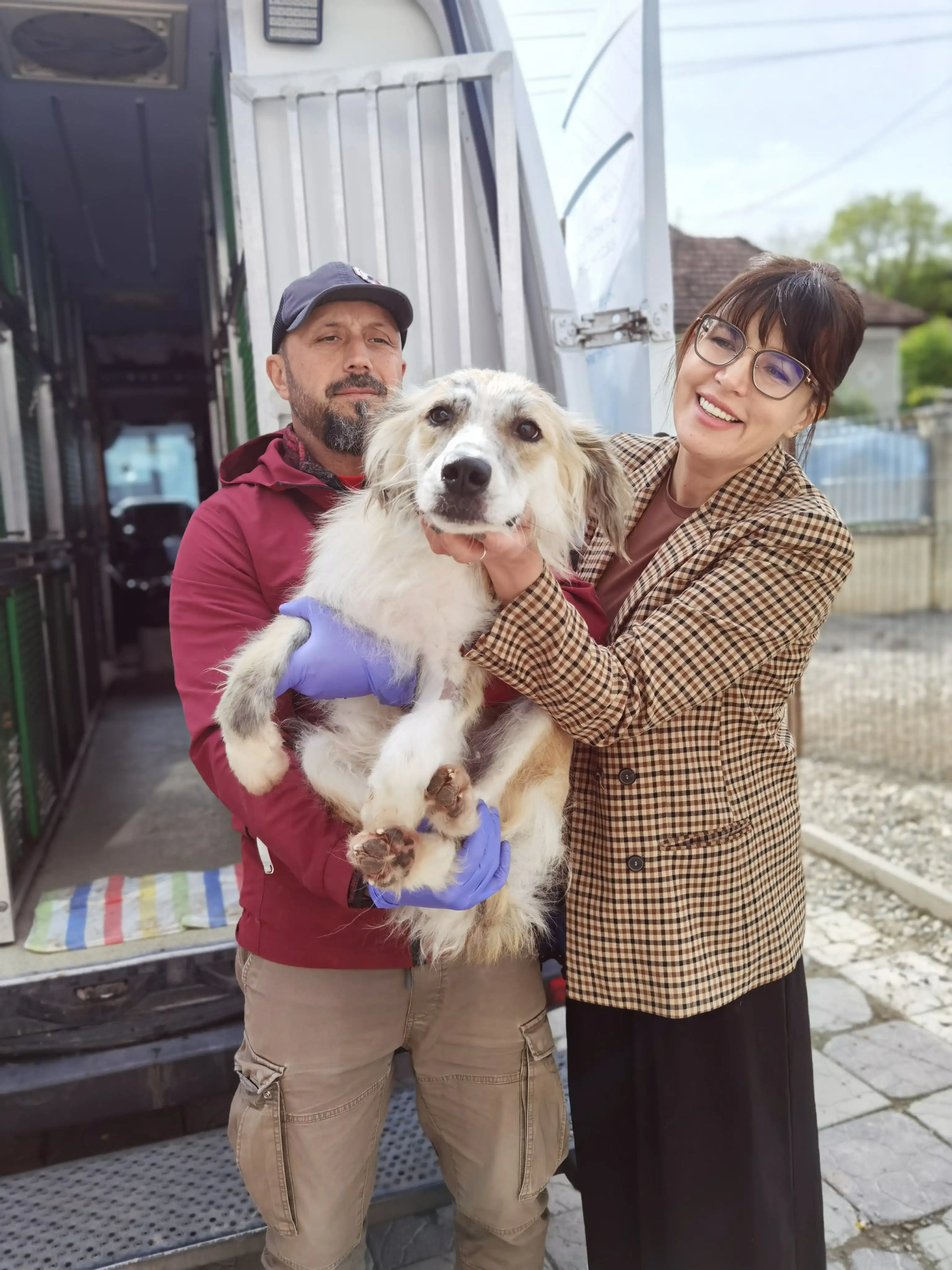 adoptii internationale asipa