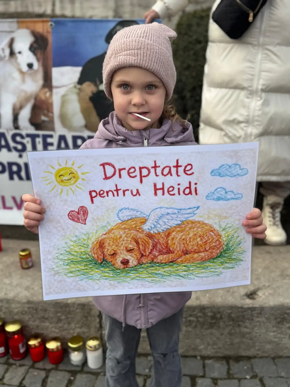 Asipa campanii